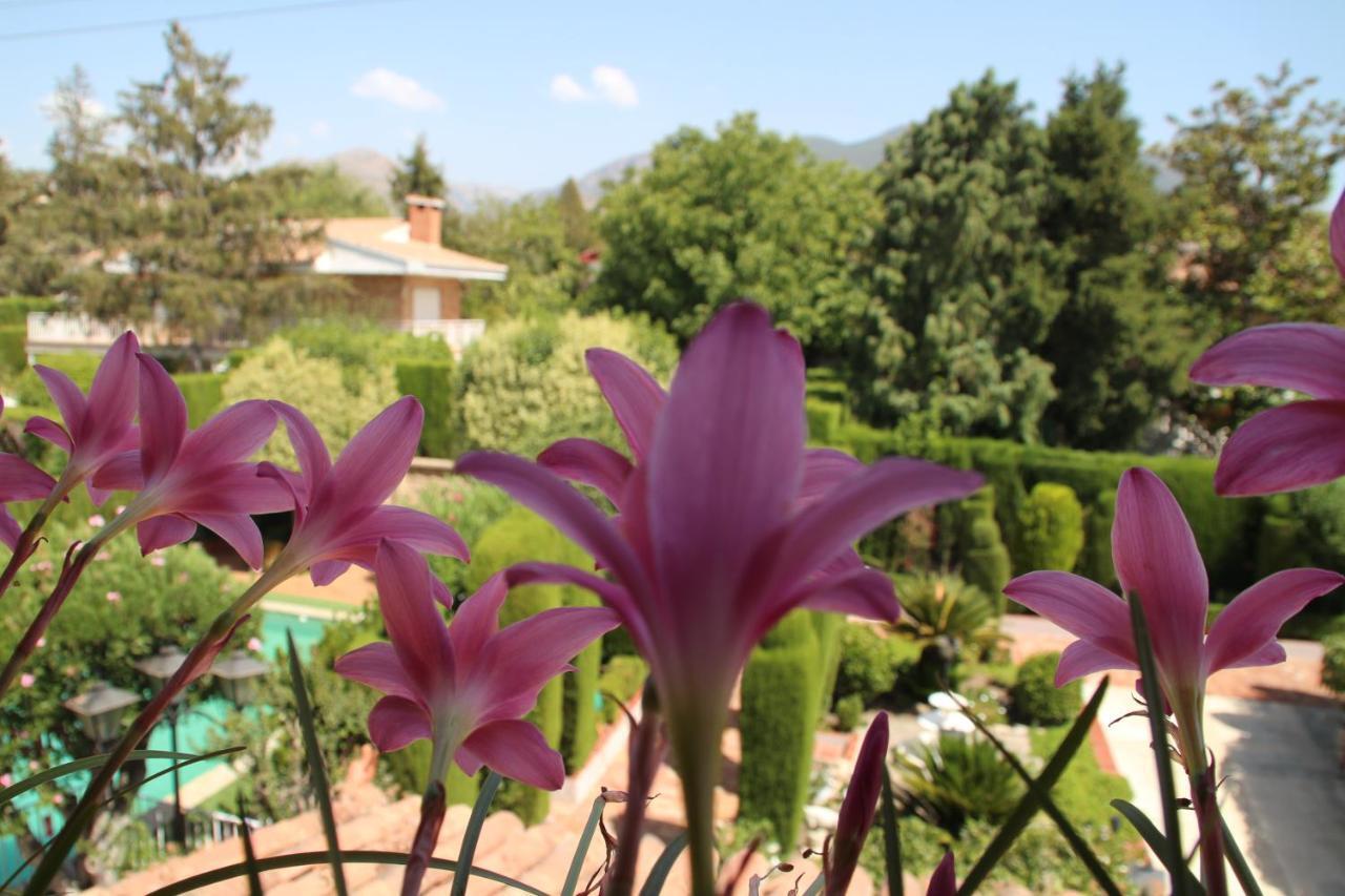 El Jardín De La Abuela Сasa de vacaciones