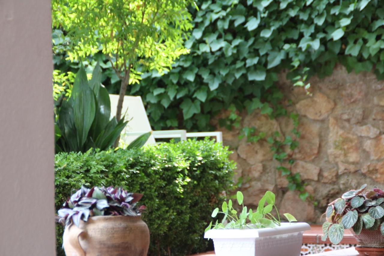 Сasa de vacaciones El Jardín De La Abuela Granada
