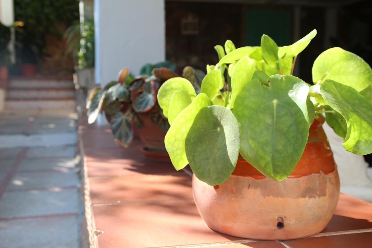 Сasa de vacaciones El Jardín De La Abuela Granada