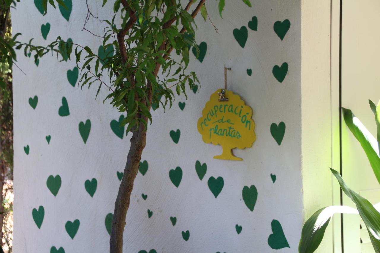 Сasa de vacaciones El Jardín De La Abuela Granada
